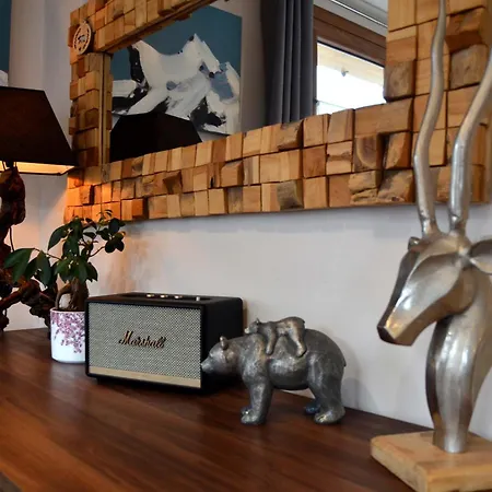 Gîte des Ours&SPA - Paradiski Alpstuga