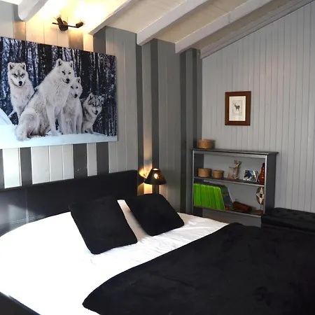 Gîte des Ours&SPA - Paradiski Alpstuga