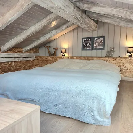 Gîte des Ours&SPA - Paradiski Alpstuga